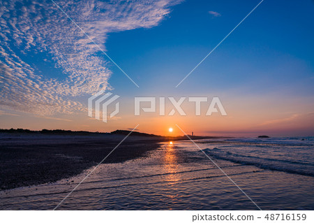(Shizuoka) Nakatajima sand dunes Sunrise 48716159