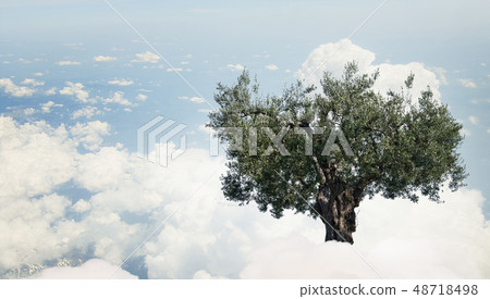 Green growing tree Green growing tree 48718498