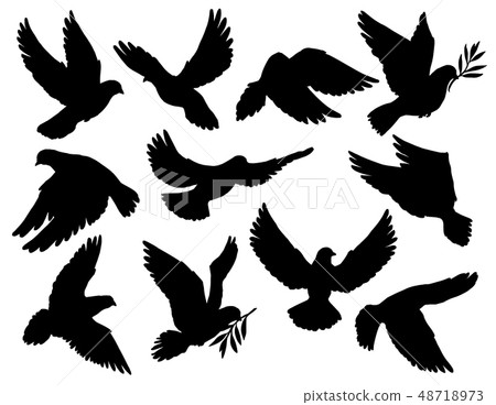 Pigeon or dove birds hold olive branch silhouettes Pigeon or dove birds hold olive branch silhouettes 48718973
