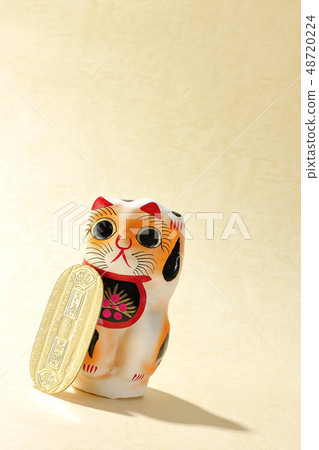 Cat to small size Cat to small size 48720224