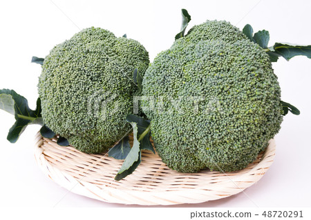 broccoli 48720291