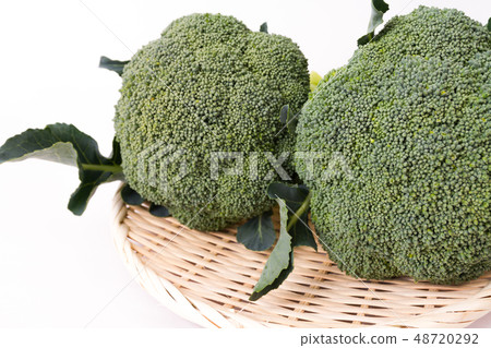 broccoli 48720292