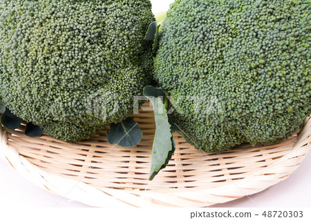 西蘭花 48720303