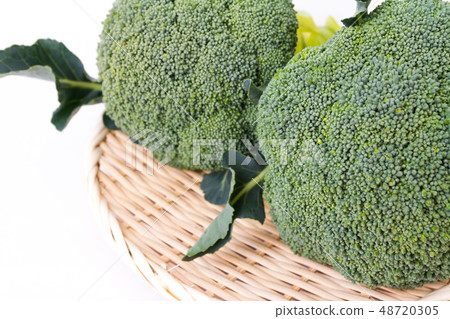 西蘭花 48720305