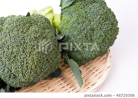 西蘭花 西蘭花 48720306