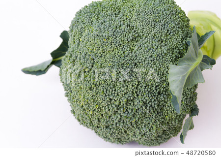 broccoli broccoli 48720580
