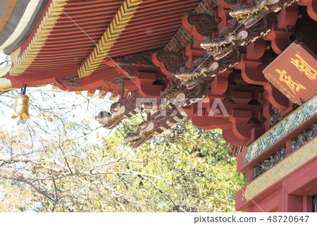 Itabashi Fudosanmori Ibaraki ken Tsukuba Mirai City的雕塑 48720647