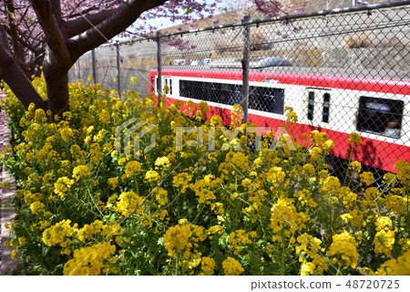 菜花和火車〉 48720725