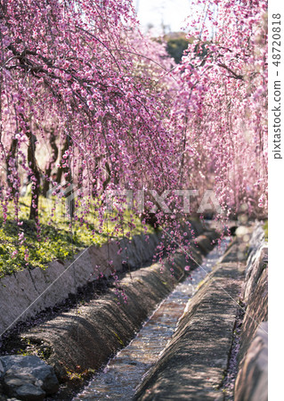 Inabe Bairin Park Inabe Bairin Park 48720818