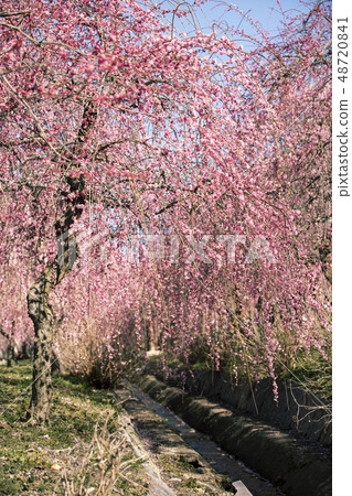 員City市農業園區 員City市農業園區 48720841