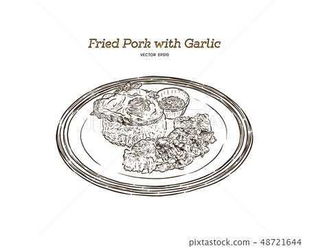 Thai style food, pork fried with crunchy garlic , 48721644