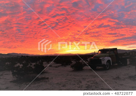 加利福尼亞，29棕櫚樹，荒野的早晨太陽 48722077