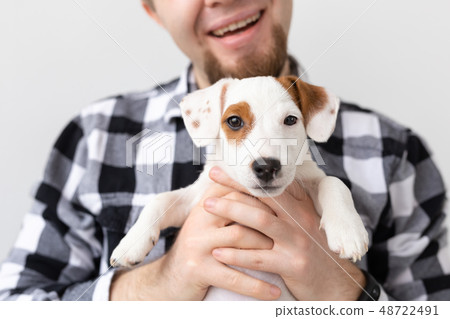 people, pets and animals concept - close up of young man holding jack russell terrier puppy on white people, pets and animals concept - close up of young man holding jack russell terrier puppy on white 48722491
