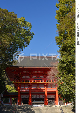 Omi Jingu Temple under the blue sky without clouds 48722509