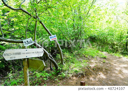 登山路到Kutani山池塘的山·Atago神社路線分支 48724107