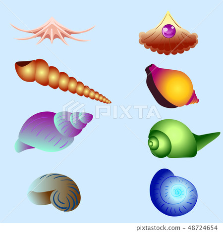 Vector set of sea shells isolated 48724654
