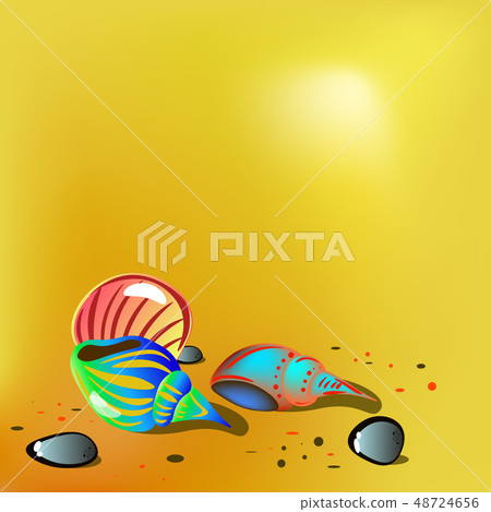 Bright shells on sand. vector illustration 48724656