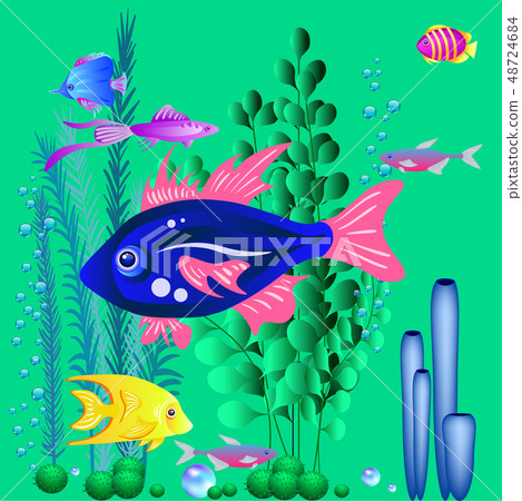 Underwater background, vector illustration for Underwater background, vector illustration for 48724684