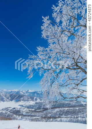 Near snowy mount Kaguragamine 48724873