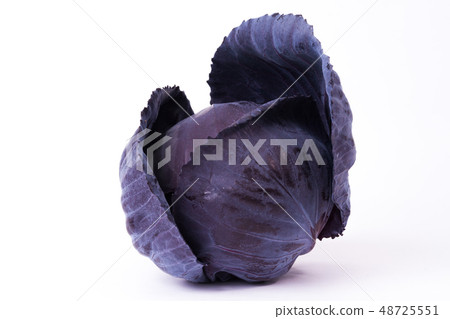 Murasaki cabbage Murasaki cabbage 48725551