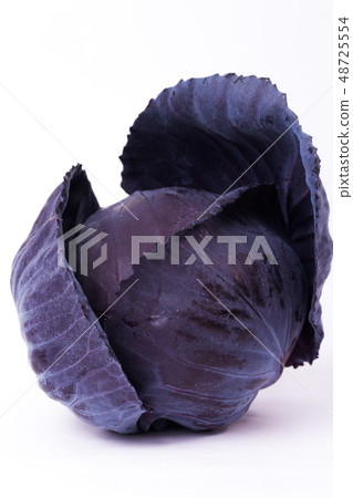 Murasaki捲心菜 48725554