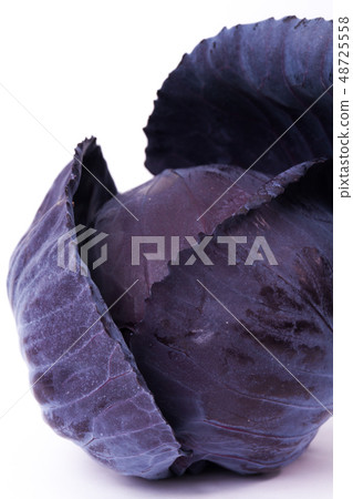 Murasaki cabbage 48725558