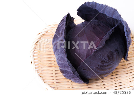 Murasaki cabbage Murasaki cabbage 48725586