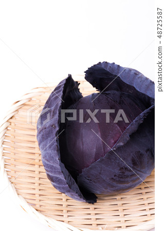 Murasaki cabbage Murasaki cabbage 48725587