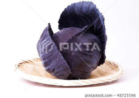 Murasaki捲心菜 Murasaki捲心菜 48725596