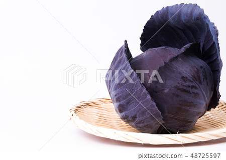 Murasaki捲心菜 Murasaki捲心菜 48725597
