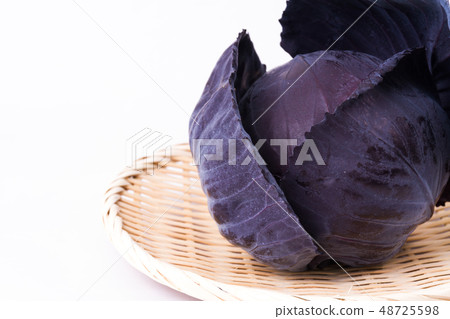 Murasaki cabbage Murasaki cabbage 48725598