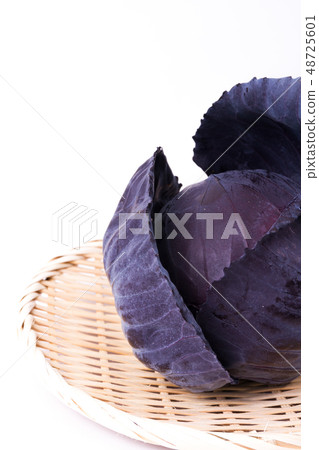 Murasaki cabbage 48725601