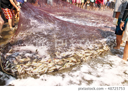 在千葉縣的Kujukurihama網中炒Asi的油炸馬鮫魚 48725753