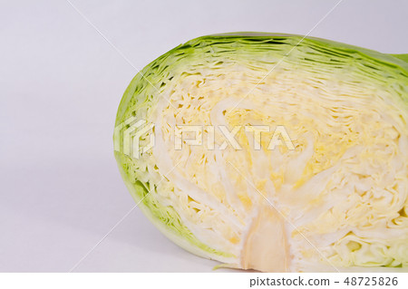 cabbage  48725826