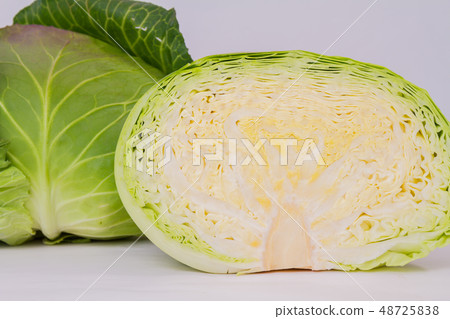 捲心菜 捲心菜 48725838
