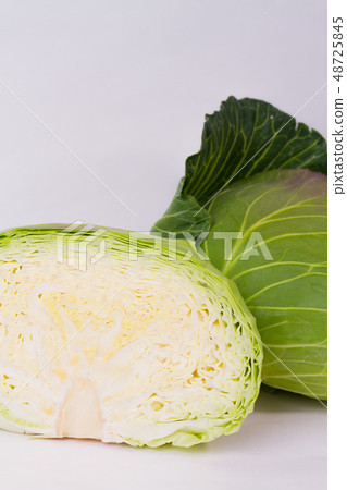 cabbage cabbage 48725845