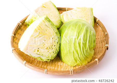 捲心菜 捲心菜 48726242