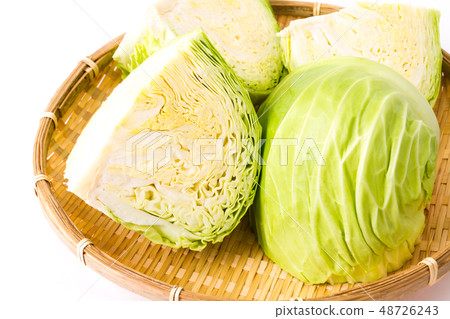 捲心菜 48726243