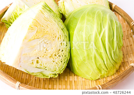 cabbage cabbage 48726244