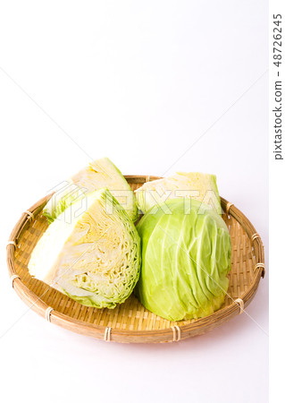 cabbage cabbage 48726245