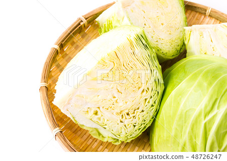 cabbage cabbage 48726247