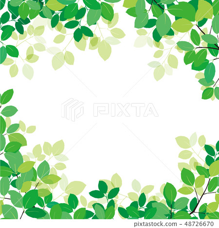 New green frame New green frame 48726670