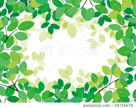 New green frame 48726678