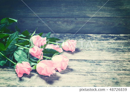 Vintage Rose Flowers on Rustic Backdrop 48726839