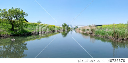 埼玉Shintoshin看法從什井河的Menuma米領域的 埼玉Shintoshin看法從什井河的Menuma米領域的 48726878