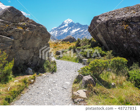 庫克山的徒步旅行路 庫克山的徒步旅行路 48727831