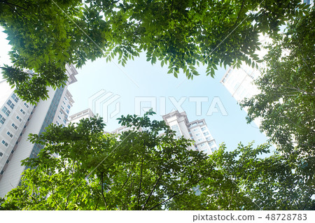 公寓,半坡,瑞草區,首爾 公寓,半坡,瑞草區,首爾 48728783