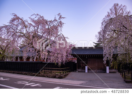 在秋田縣仙北神社的垂枝櫻花竹車間的大門 48728830