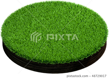 Cross section of ground with grass. Isolated on 48729017