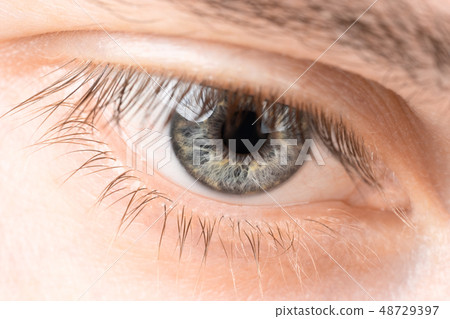 Eyes close-up 48729397